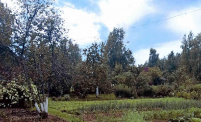 Купить участок, ВЕРАС-91, Центральная, 1, 10 соток. Фото 3