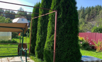 Купить дачу, СТ Виктория, 10.37 соток. Фото 6