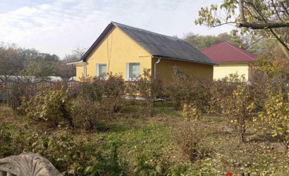 Купить дом, Большие Косичи, 25 соток. Фото 24