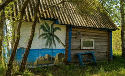 Купить дом, Репище, Центральная, 25 соток. Фото 6