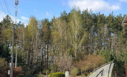 Купить дачу, Брест, Мухавецкий с/с, 5 соток. Фото 25