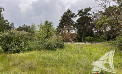 Купить участок, Гули, Мухавецкий с/с, 25 соток. Фото 9