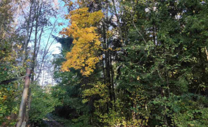 Купить участок, Пролеска ЦКБ, 9 соток. Фото 5