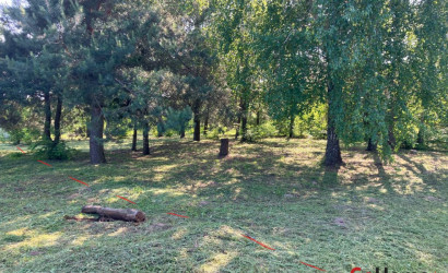 Купить участок, Столбцы, участок, 10 соток. Фото 5