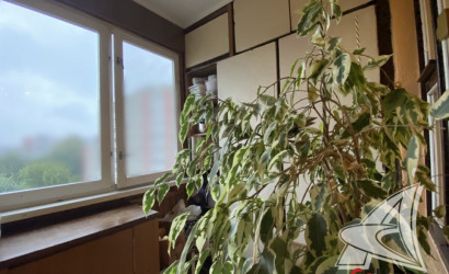 Купить 3-комнатную квартиру, Брест, Восток, пр-т Партизанский. Фото 25