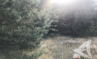 Купить участок, Брест, Радваничский с/с, 10 соток. Фото 1