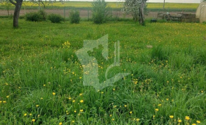 Купить участок, Жилевщина, 21 соток. Фото 2