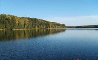 Купить дом, Бор, Озёрная, 12 соток. Фото 9