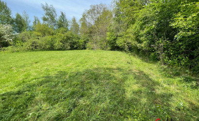 Купить участок, Блужа, 1, 10.63 соток. Фото 4