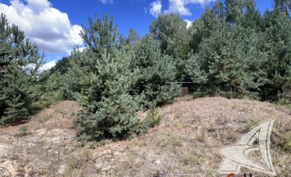 Купить участок, Подлесье-Каменецкое, Мухавецкий с/с, 9.73 соток. Фото 10