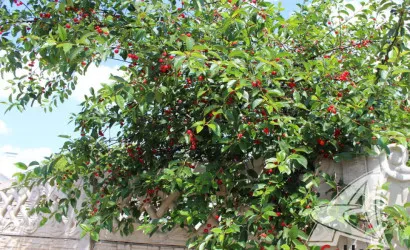  2-этаж.(137.4 м2), Клейники(Клейниковский с/с)