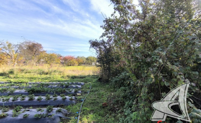 Купить дом, Костычи, Клейниковский с/с, 16.52 соток. Фото 13