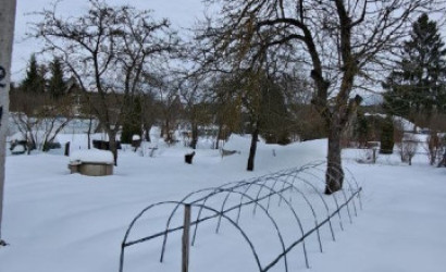 Купить участок, Витебск, 1-й Лужеснянский, 4.34 соток. Фото 6