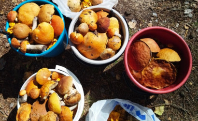 Купить дом, Коханово, ул.Озёрная, д.25, 15 соток. Фото 17