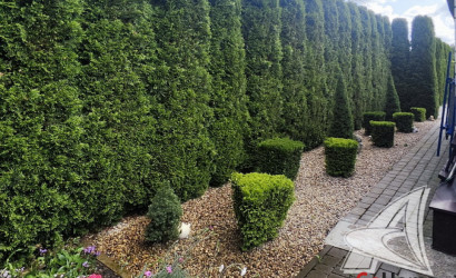 Купить дачу, Брест, Чернавчицкий с/с, 5.16 соток. Фото 27