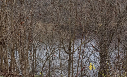 Купить дом, Придвинье, Полевая, 71, 16 соток. Фото 21