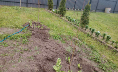 Купить участок, Заболотье, Улица 1 Луговая 50, 8.9 соток. Фото 2