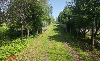  Поляна