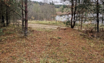 Купить дом, Чечели, Озерная ул., 11 соток. Фото 2