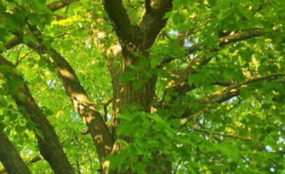 Купить дом, Хутор Лепенка, 21 соток. Фото 32