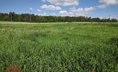  Цнянка(Дзержинского)