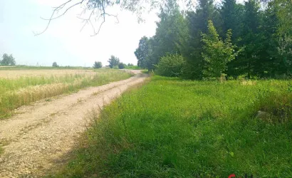  1-этажный(78.1 м2), Рубилки