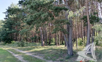 Купить дачу, Брест, Чернавчицкий с/с, 8 соток. Фото 38