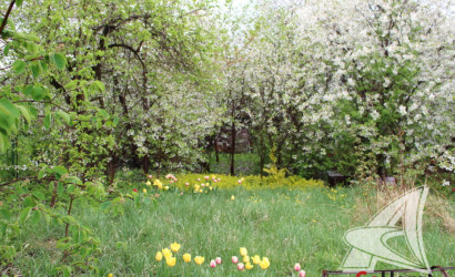 Купить участок, Брест, Чернинский с/с, 5.31 соток. Фото 4