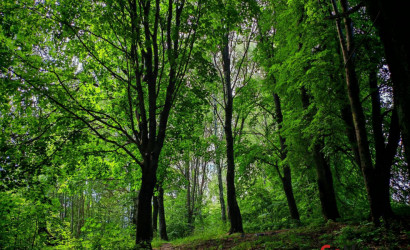 Купить 1-комнатную квартиру, Дзержинск, ул. Радужная 17. Фото 12