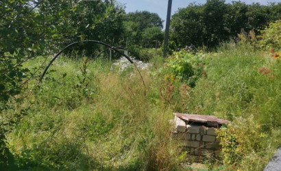 Купить дачу, Городок, Садовое товарищество Лесное, 12.5 соток. Фото 9