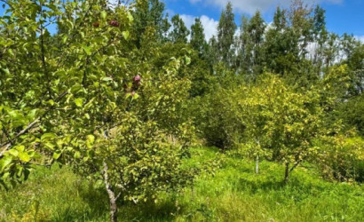 Купить дом в деревне, Инженер, 7.12 соток. Фото 15