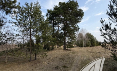 Купить участок, Дубица, Домачевский с/с, 24.9 соток. Фото 3