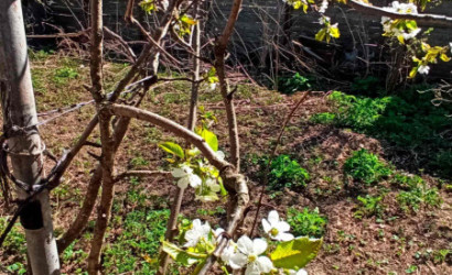 Купить дом в деревне, Лучин, Днепровская, 21 соток. Фото 19