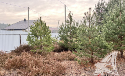 Купить дачу, Брест, Чернавчицкий с/с, 6 соток. Фото 28