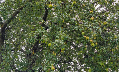 Купить дачу, Витебск, 4-й Блискучий, 6.5 соток. Фото 10