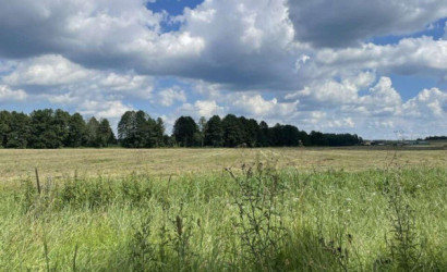 Купить дом, Каменка, Центральная ул., 25, 24.99 соток. Фото 25