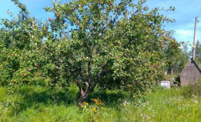 Купить дом в деревне, Реставратор, 5.94 соток. Фото 4