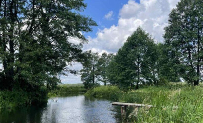 Купить дом, Каменка, Центральная ул., 25, 24.99 соток. Фото 22