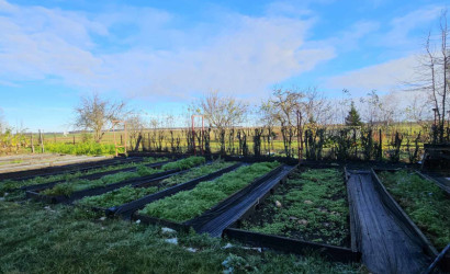 Купить дом, Горбачевка, 25 соток. Фото 9