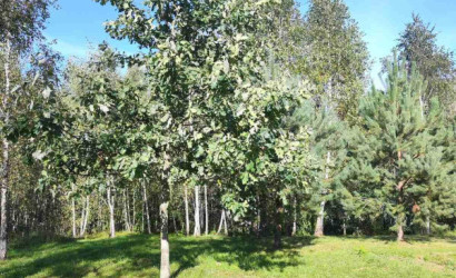 Купить дом, Гаище, 21 соток. Фото 10