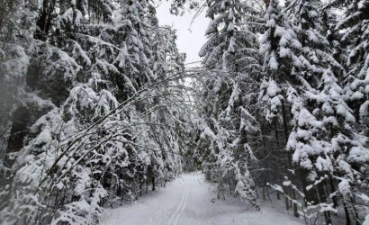 Купить дом в деревне, Зенит-Кардон, 3.96 соток. Фото 3