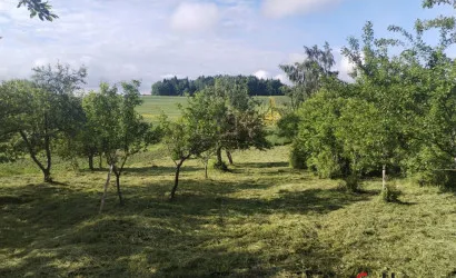  Капличи