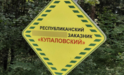 Купить дом в деревне, ЧАРОВНИЦА, 11 соток. Фото 7