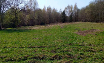 Купить участок, Полыковичи, Овражная, 22.7 соток. Фото 2