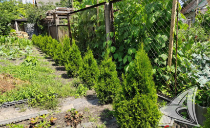 Купить дом, Брест, Речица, 5.58 соток. Фото 13