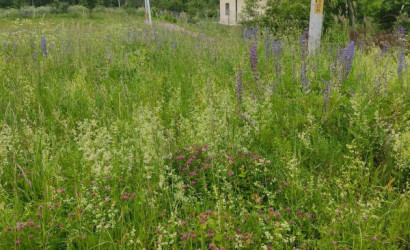 Купить участок, Струсто, Струсто, 25 соток. Фото 2