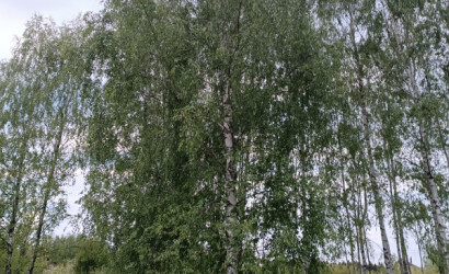 Купить дачу, Старый Раков, С/Т    Дубрава-Мапид \\\\\\\\\\\\\\\\\\\\\\\\\\\\\\\\\\\\\\\\\\\\\\\\\\\\\\\\\\\\\\\