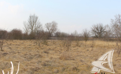 Купить участок, Зеленец, Чернавчицкий с/с, 48.97 соток. Фото 6