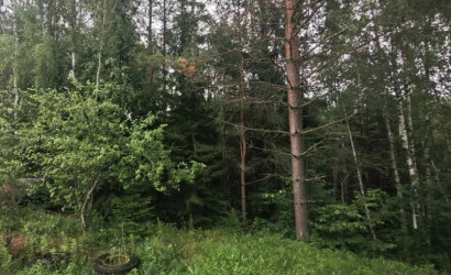 Купить участок, Мончаки, Лесная, 15 соток. Фото 7