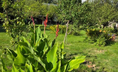 Купить дом в деревне, Белстандарт, 15 соток. Фото 46